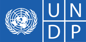 SDG Impact Standards (UNDP)