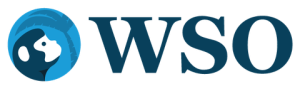 Wall Street Oasis – Modeling Templates