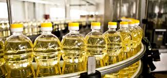 ethiopia-2023-workshop-highlights