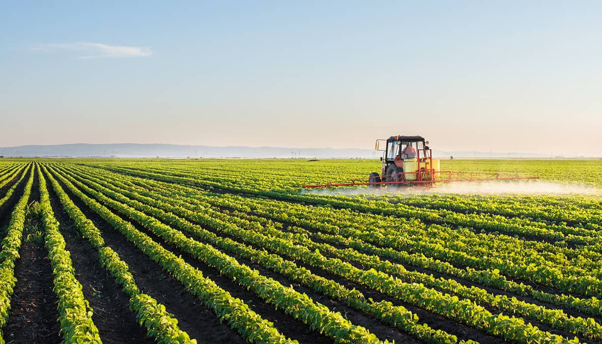 Health and nutrition investment support