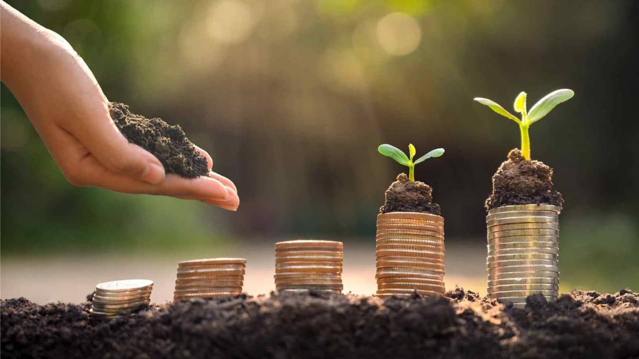 Nigeria Green Manufacturing Report