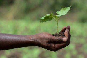 Assessing and prioritising agricultural value chain investments
