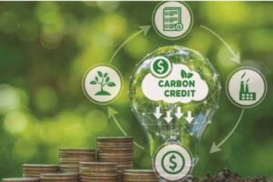 Carbon credits